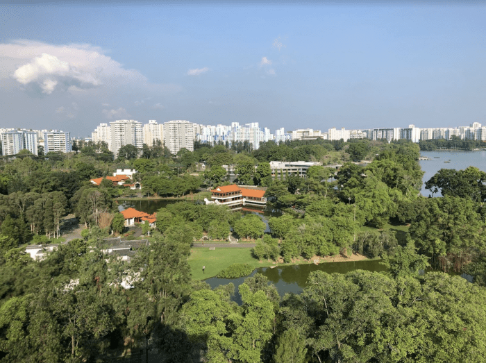 Aerial view of green space in Singapore